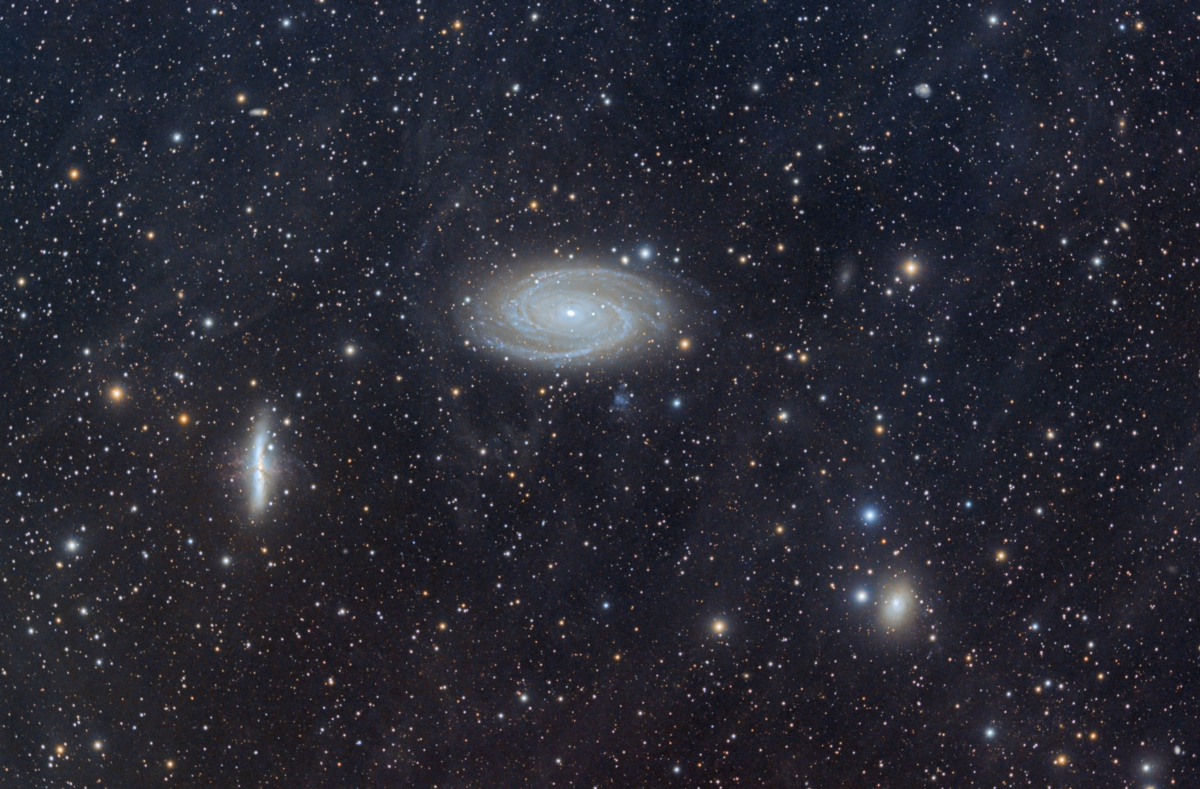 M81